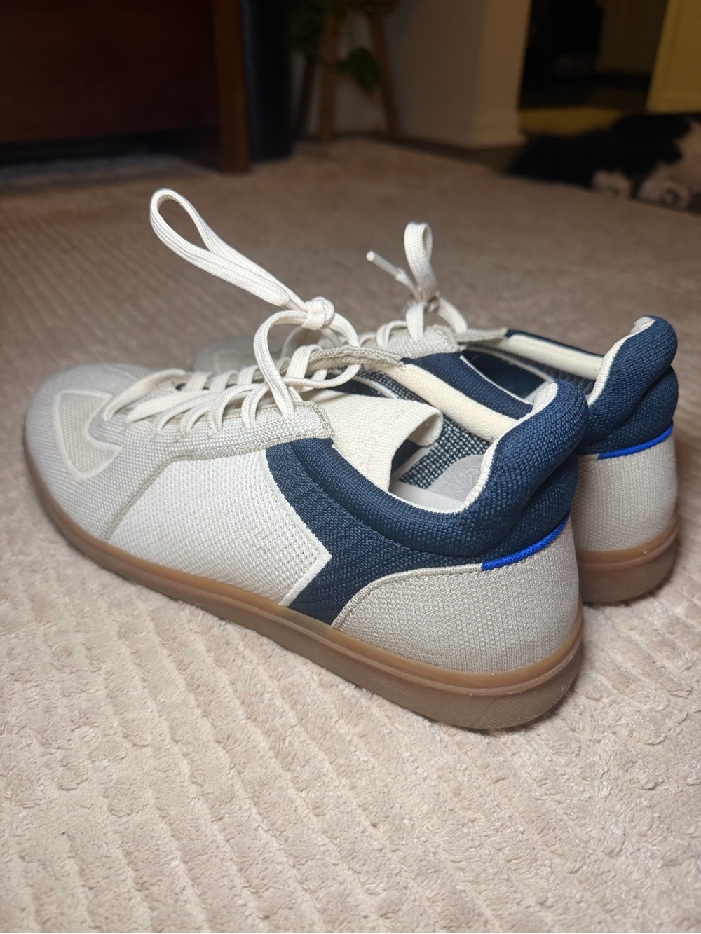 Rothys Sneaker Off White & Blue Mens 10